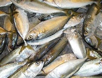 Gaixotasunaren aurrerapena gelditzen laguntzen duen dieta